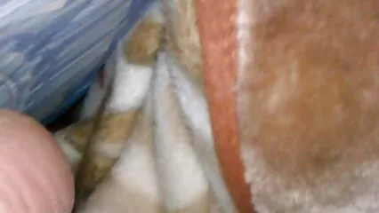 Chico con un miembro grande se folla a chicas jóvenes después de porni casero un beso en la película