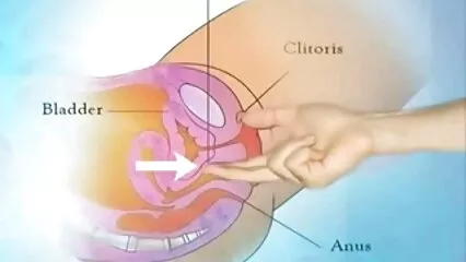 Porno 2021